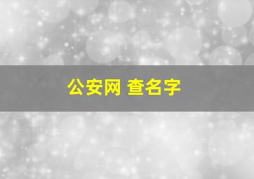 公安网 查名字